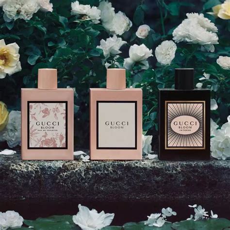 Gucci Bloom vs Bloom Intense: Simplistic to the Point of Childish